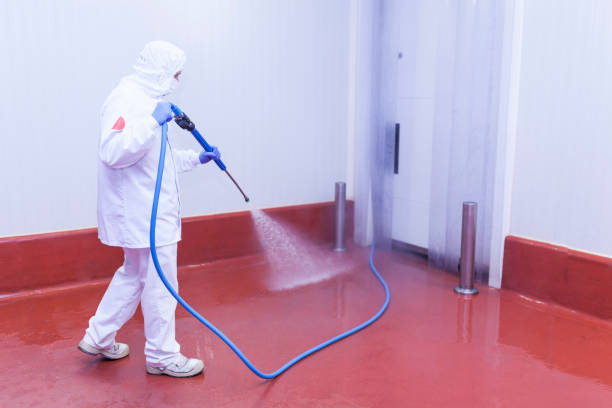 Best Patio and Deck Pressure Washing  in Springdale, SC